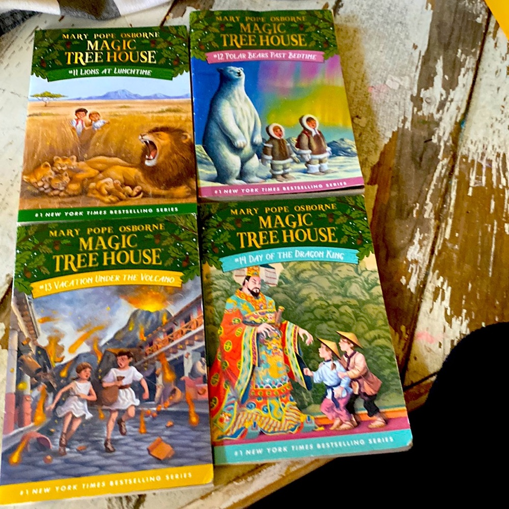 Four soft back Magic Tree House books